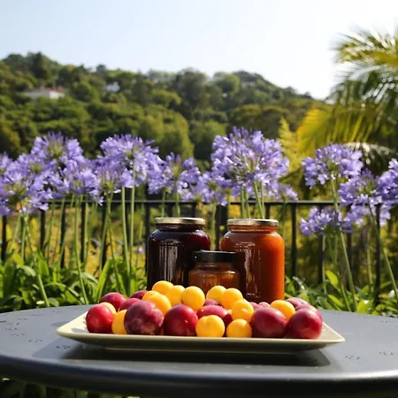 Gæstehus Casa Do Valle