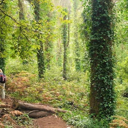 Casa Do Valle 4* Sintra