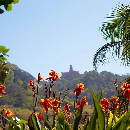 Casa Do Valle Sintra
