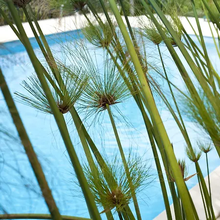 Pensjonat Casa Do Valle