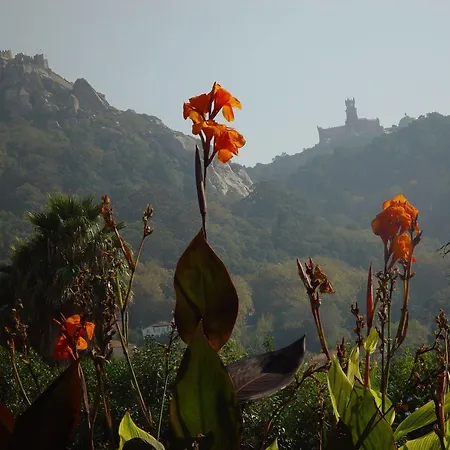 Gæstehus Casa Do Valle 4*